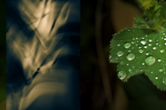 20200515-Genesis-Kopie